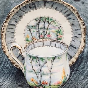 Royal Albert England SILVER BIRCH Tea/Saucer China